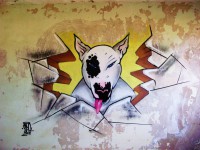 /album/fotogaleria/img-7071-1-jpg/